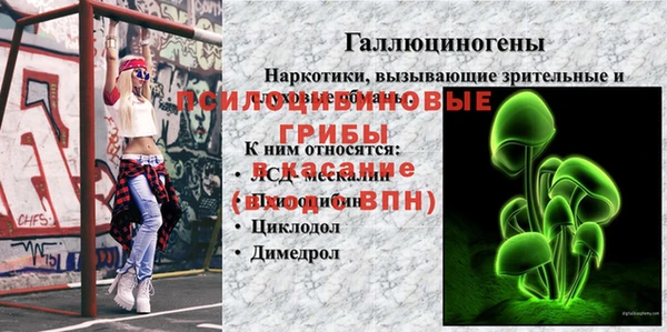 гашик Армянск