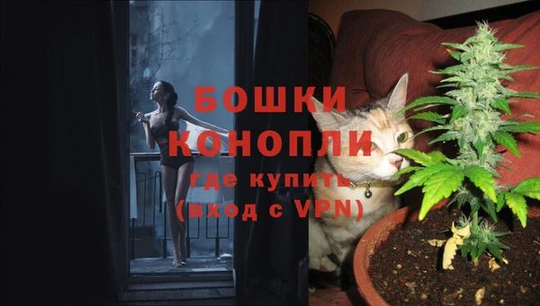 гашик Армянск