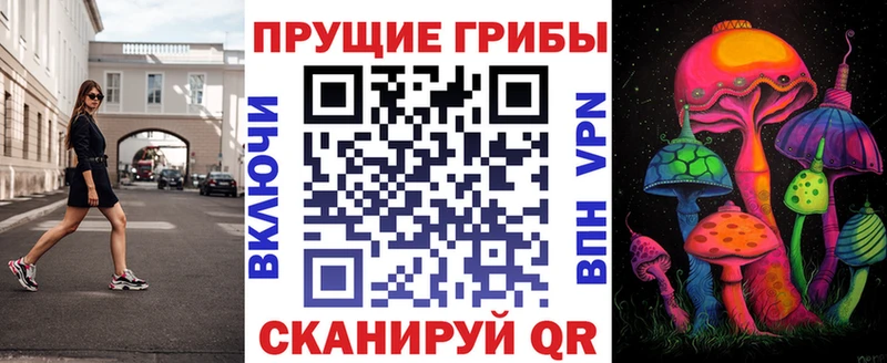 Псилоцибиновые грибы Cubensis  Стрежевой 